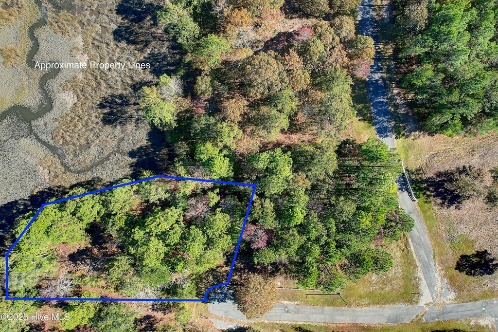 Photo of 2018 Marsh Acres Court, Supply, NC 28462 (MLS # 100541247)