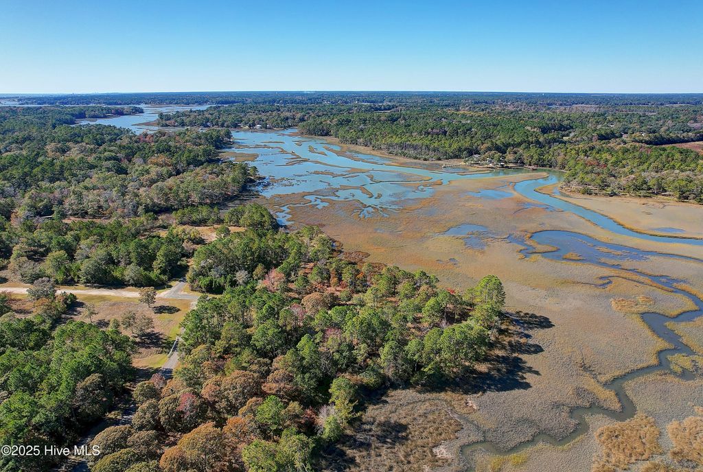 Photo of 2018 Marsh Acres Court, Supply, NC 28462 (MLS # 100541247)