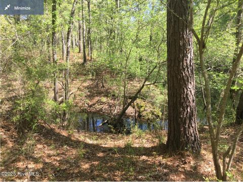 Tiny photo for 0 Hwy 53, Burgaw, NC 28425 (MLS # 100537472)
