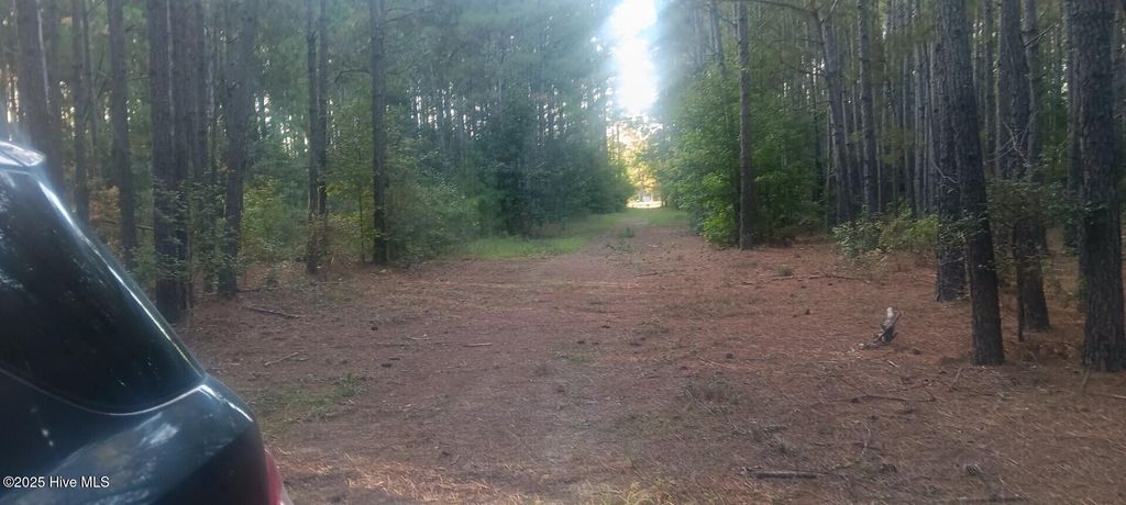 Photo of 0 Hwy 53, Burgaw, NC 28425 (MLS # 100537472)