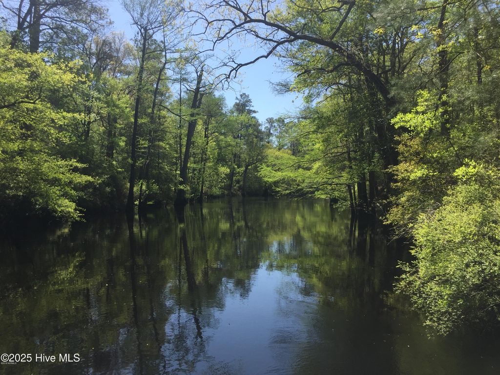 Photo of 0 Hwy 53, Burgaw, NC 28425 (MLS # 100537472)