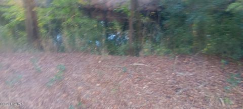 Tiny photo for 0 Hwy 53, Burgaw, NC 28425 (MLS # 100537472)
