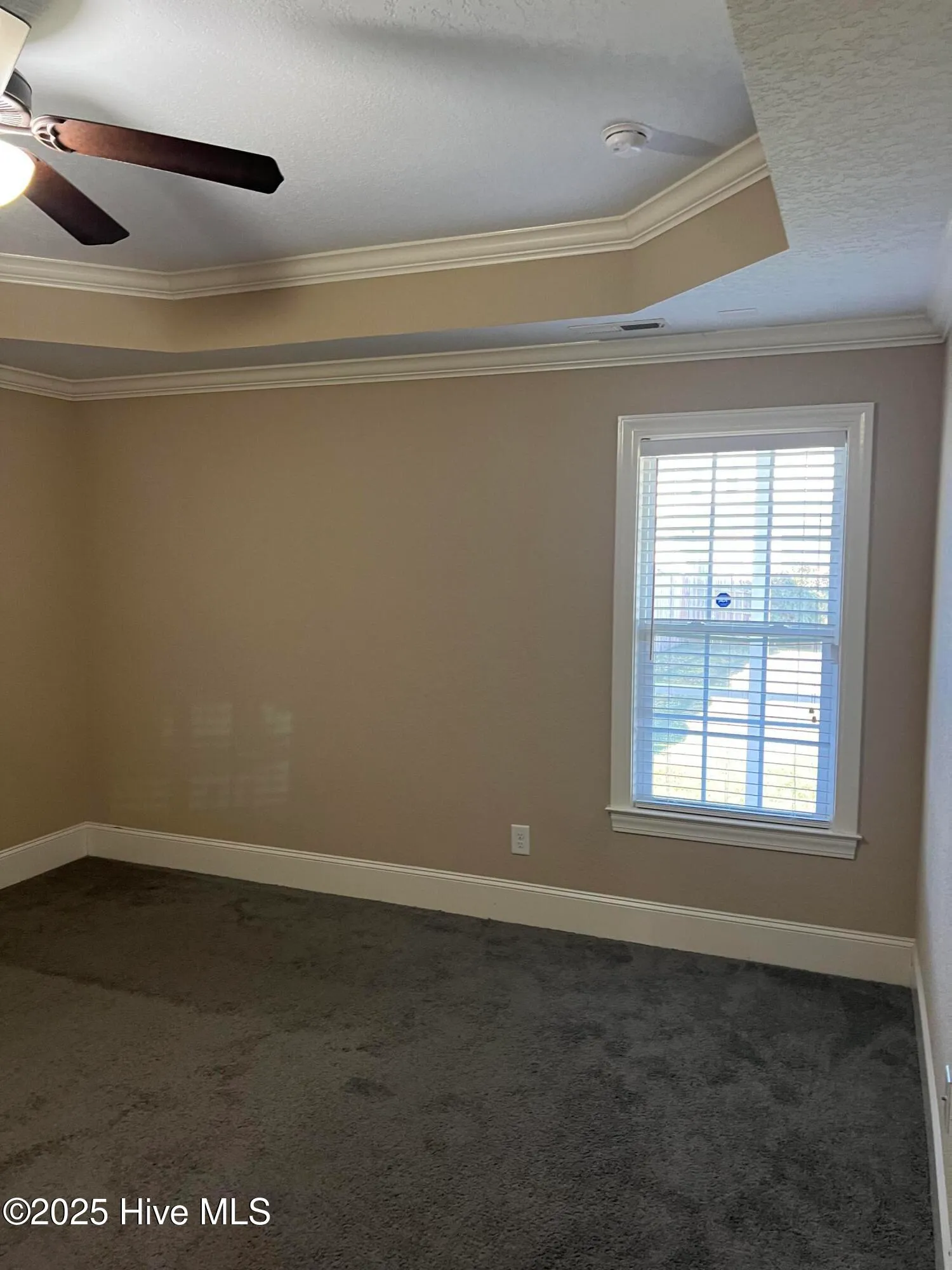 Greenville, North Carolina 27834, United States, 3 Bedrooms Bedrooms, ,2 BathroomsBathrooms,Residential,Active,232031