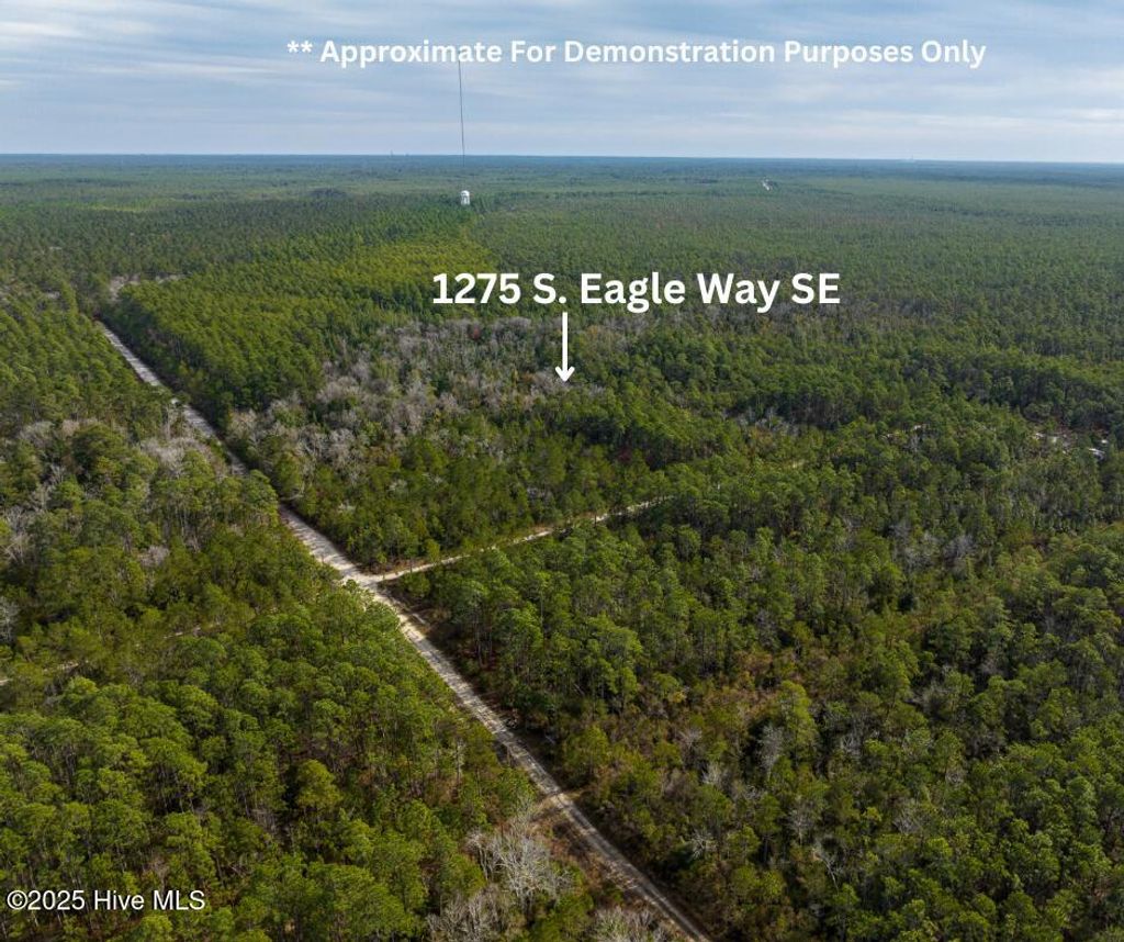 Photo of 1275 S Eagle Way SE, Southport, NC 28461 (MLS # 100532483)