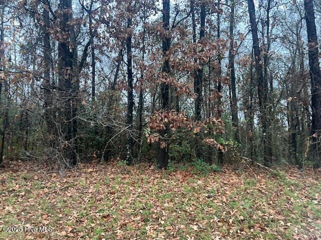 Photo of 1 Stewartsville Cemetery Road, Laurinburg, NC 28352 (MLS # 100543743)