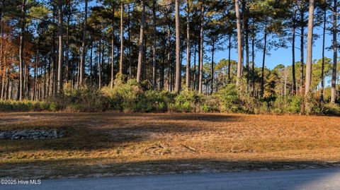 Tiny photo for 216 Alderman Landing Road, Holly Ridge, NC 28445 (MLS # 100543218)