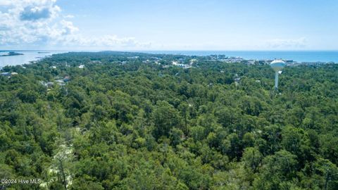 Tiny photo for 263 Surfside Landing Boulevard #Lot 119, Hubert, NC 28539 (MLS # 100539763)