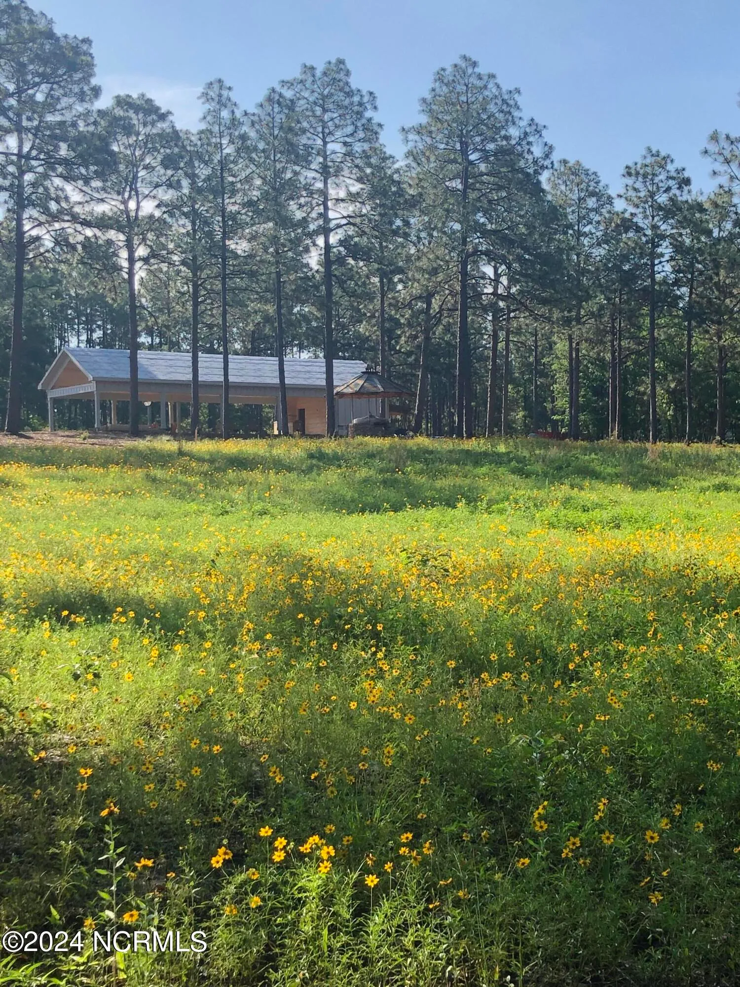 Aberdeen, North Carolina 28315, United States, 3 Bedrooms Bedrooms, ,1 BathroomBathrooms,Residential,Active,42328