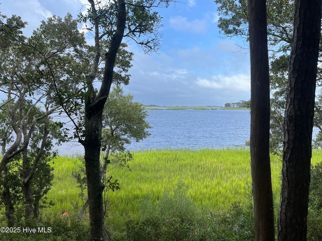 Photo of 3260 Mullet Creek Place SE, Bolivia, NC 28422 (MLS # 100525260)