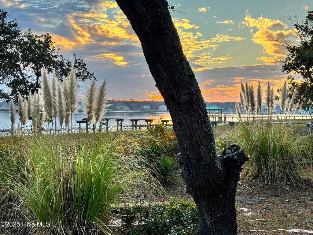 Photo of 3260 Mullet Creek Place SE, Bolivia, NC 28422 (MLS # 100525260)