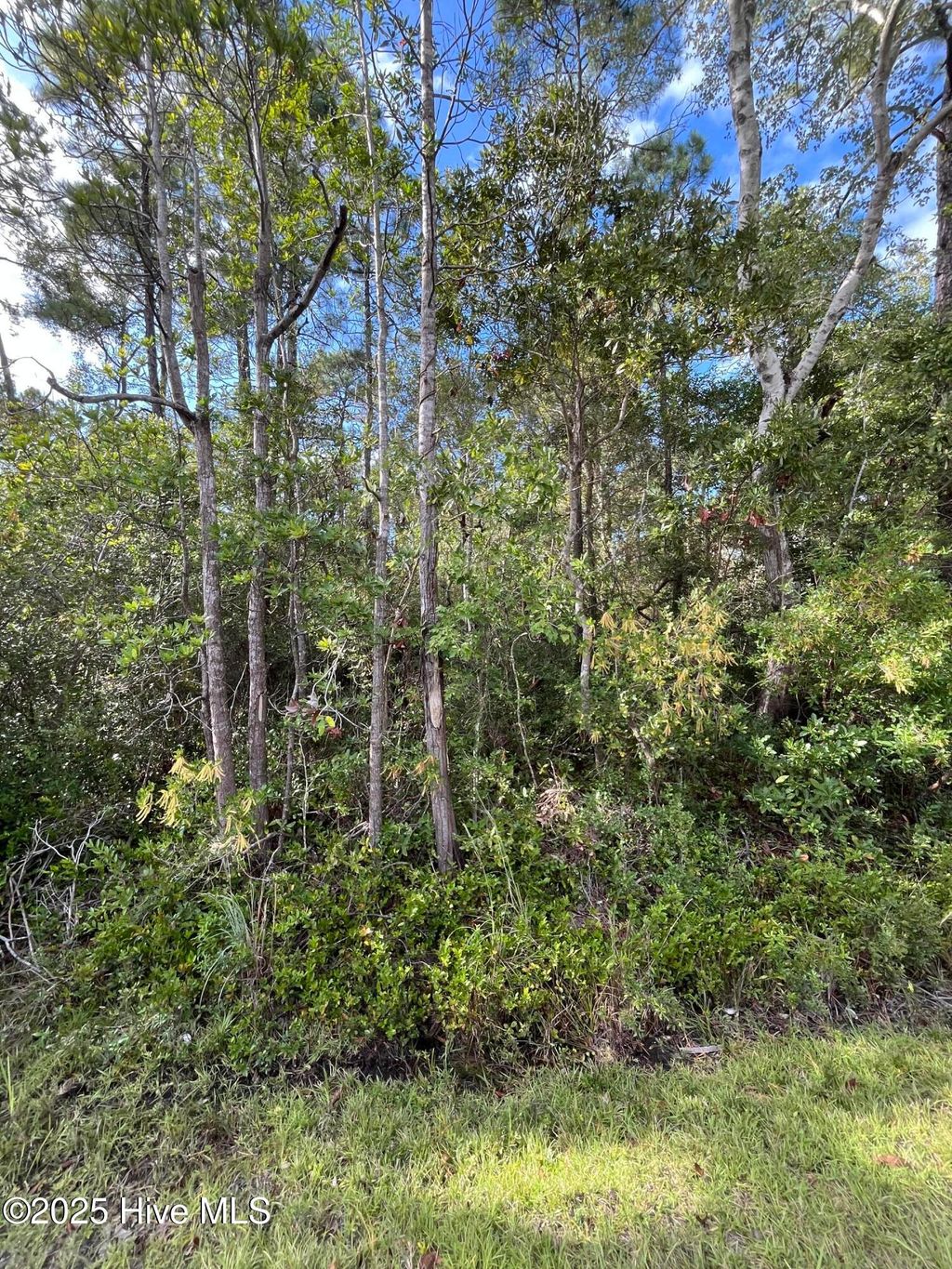 Photo of 7 Maple Road, Boiling Spring Lakes, NC 28461 (MLS # 100534695)