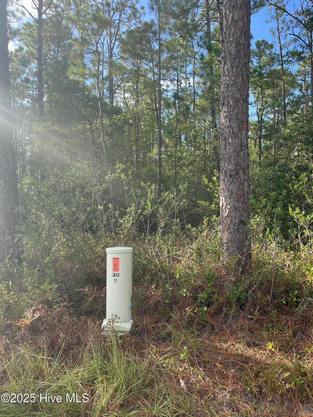 Photo of 7 Maple Road, Boiling Spring Lakes, NC 28461 (MLS # 100534695)