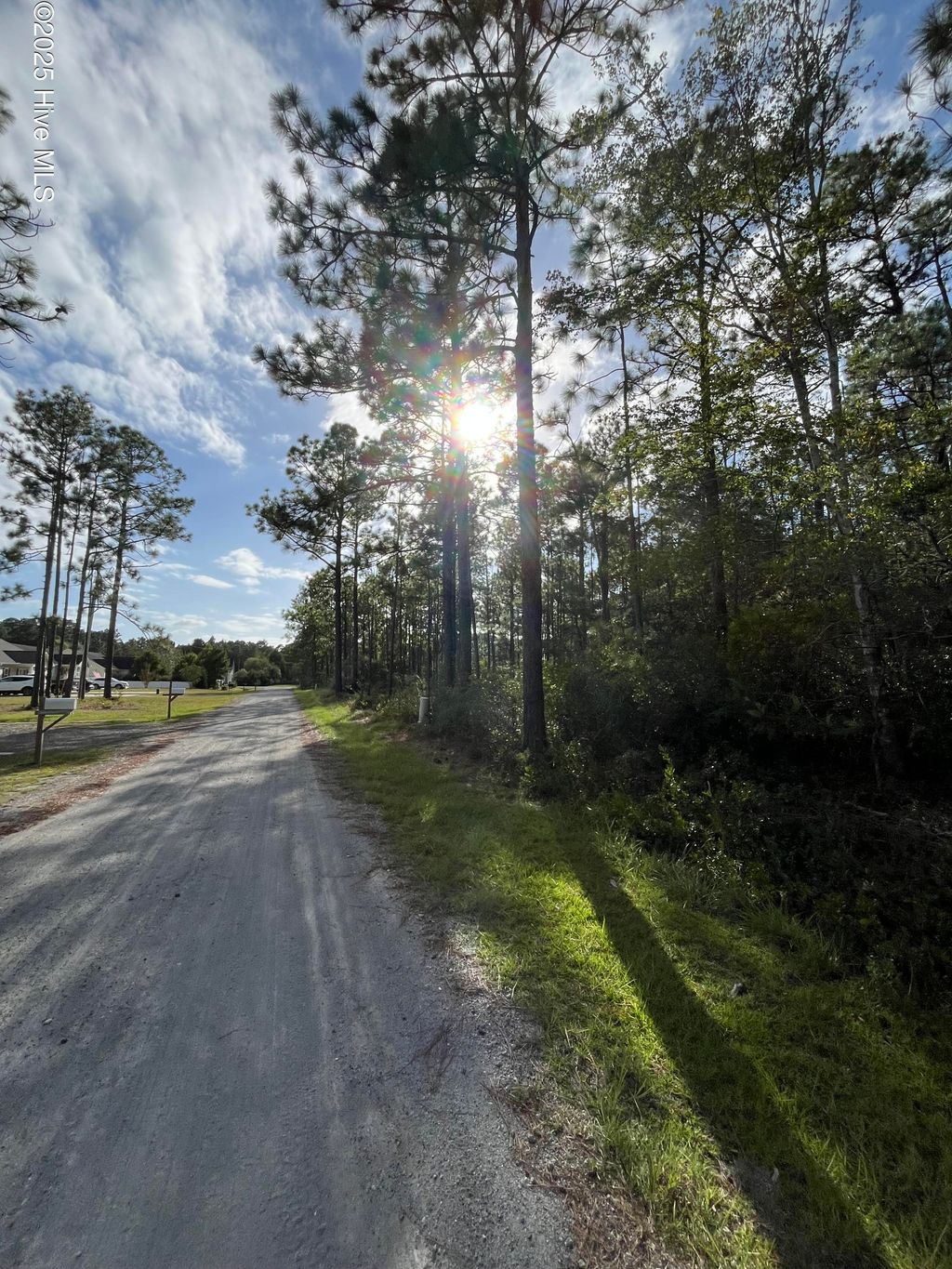 Photo of 7 Maple Road, Boiling Spring Lakes, NC 28461 (MLS # 100534695)