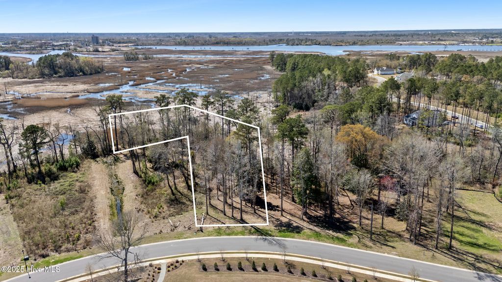 Photo of 228 Preservation Point Avenue, Wilmington, NC 28401 (MLS # 100497660)