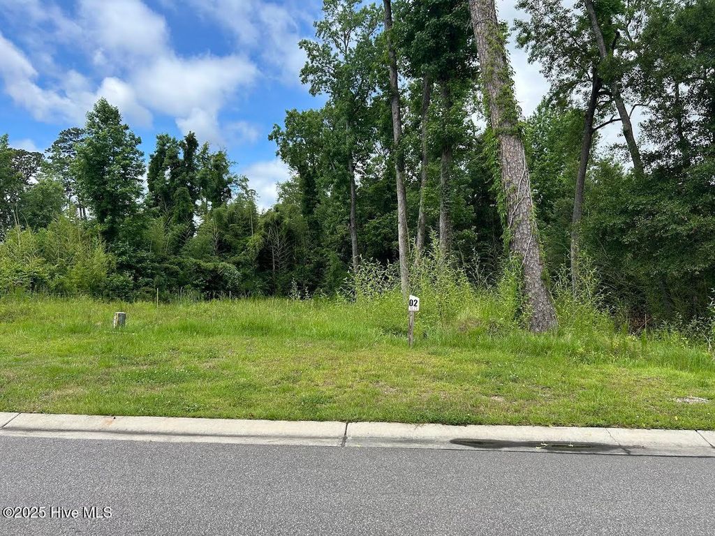 Photo of 208 Preservation Pt Avenue, Wilmington, NC 28401 (MLS # 100510941)