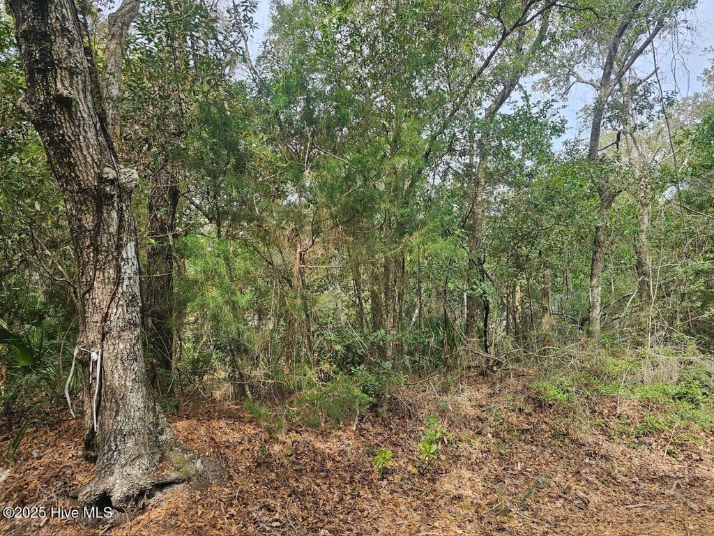Photo of 35 Dowitcher Trail, Bald Head Island, NC 28461 (MLS # 100492315)