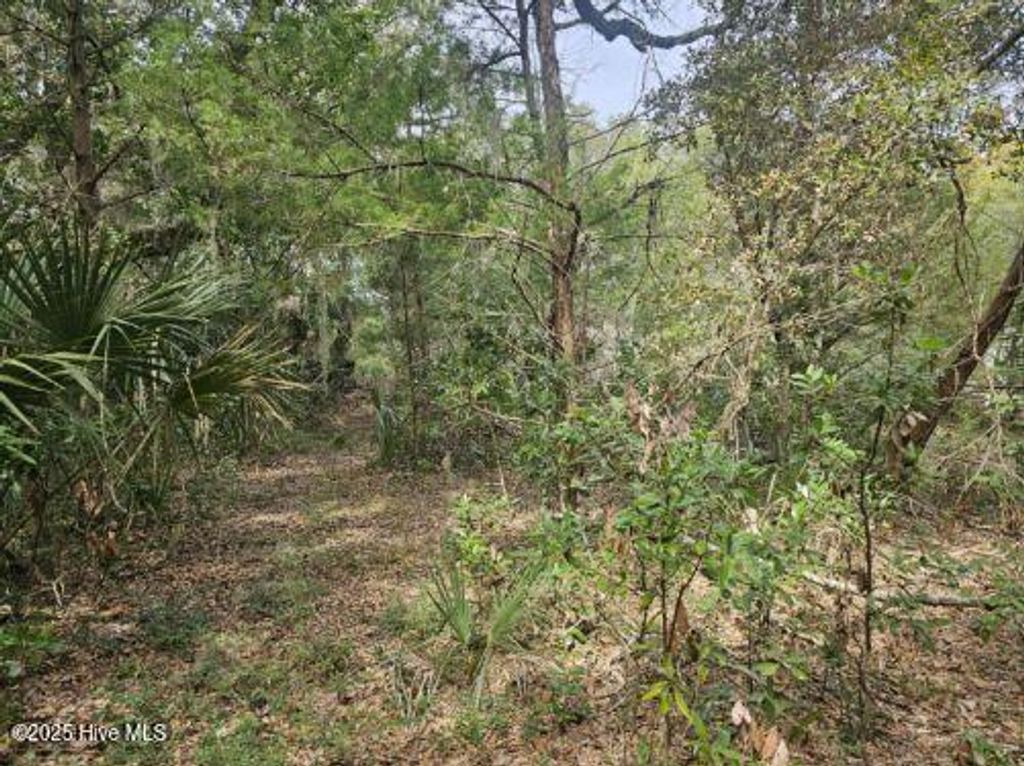 Photo of 35 Dowitcher Trail, Bald Head Island, NC 28461 (MLS # 100492315)