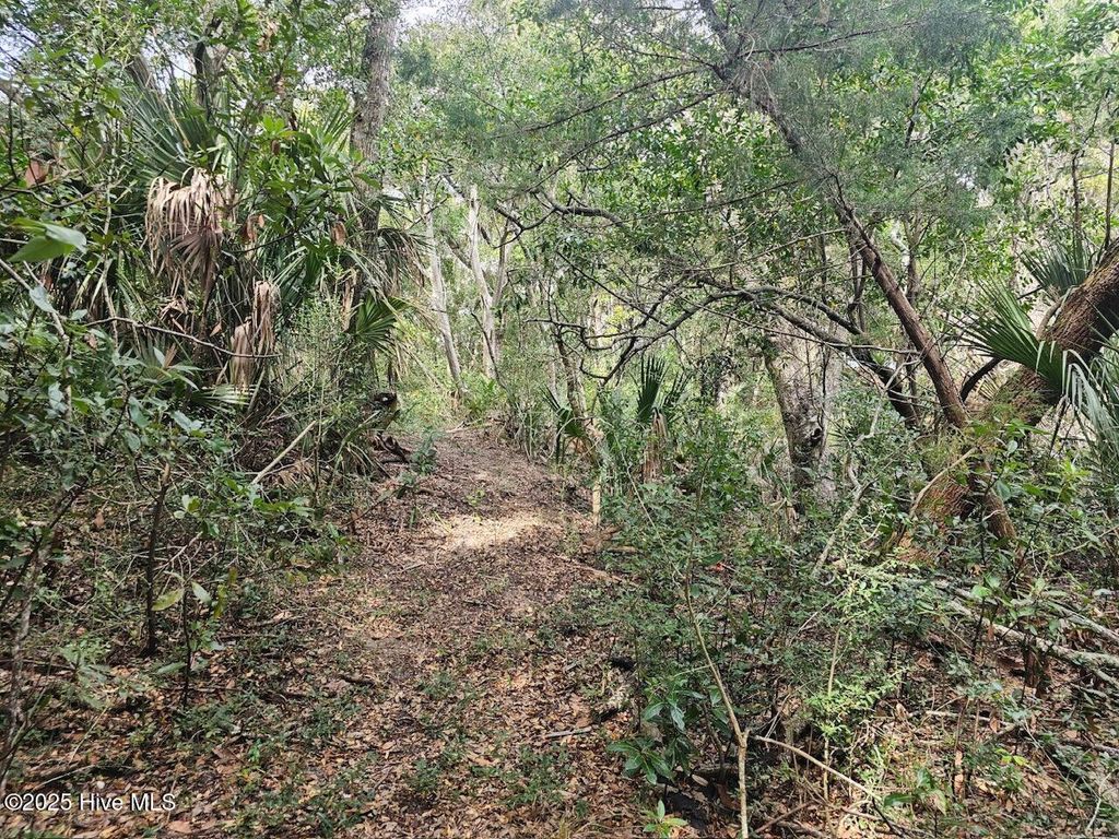 Photo of 35 Dowitcher Trail, Bald Head Island, NC 28461 (MLS # 100492315)