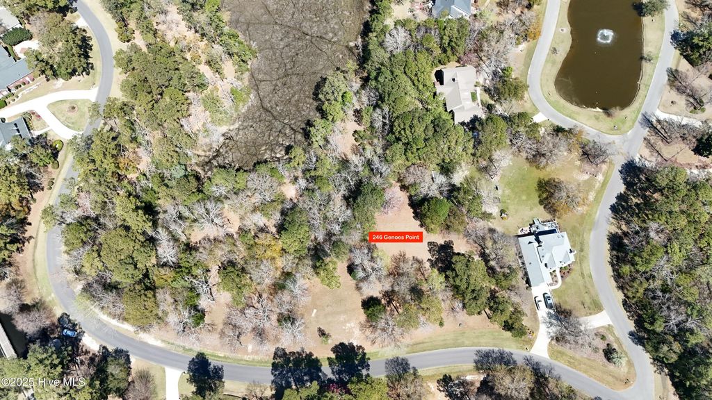 Photo of 246 Genoes Point Road SW, Supply, NC 28462 (MLS # 100497066)