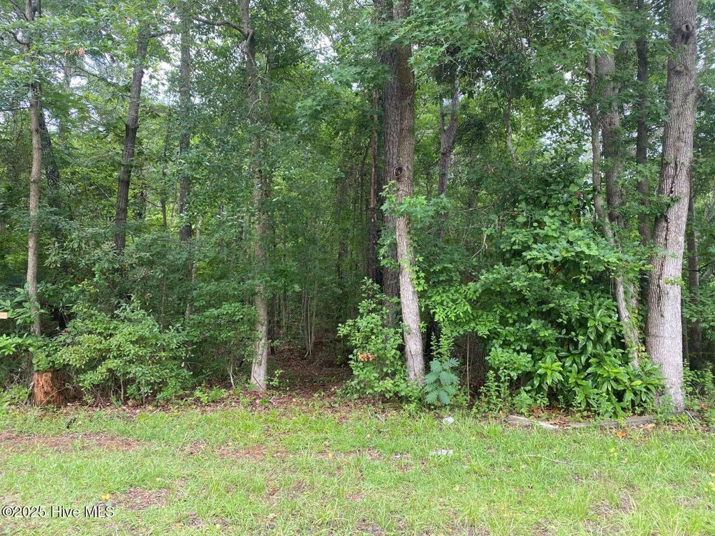 Photo of 0 Lake Cole Road, Midway Park, NC 28544 (MLS # 100464697)
