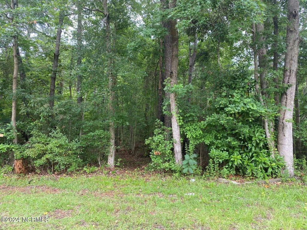 Photo of 0 Lake Cole Road, Midway Park, NC 28544 (MLS # 100464697)