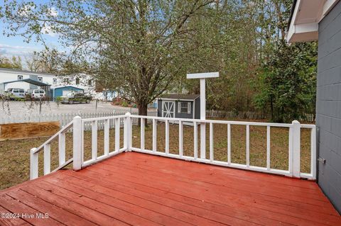 A home in Williamston