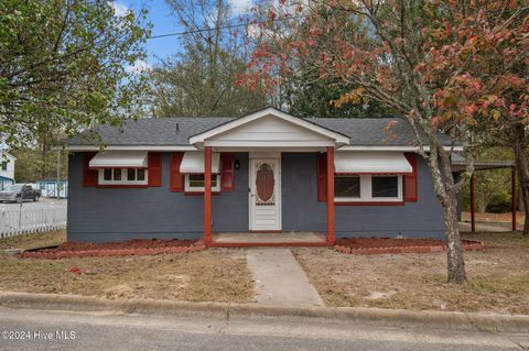 A home in Williamston