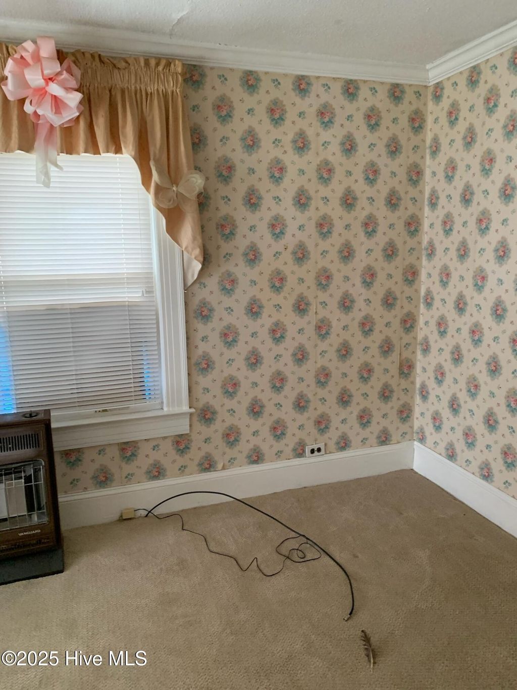 Photo of 2422 Grimes Street, Winterville, NC 28590 (MLS # 100536153)