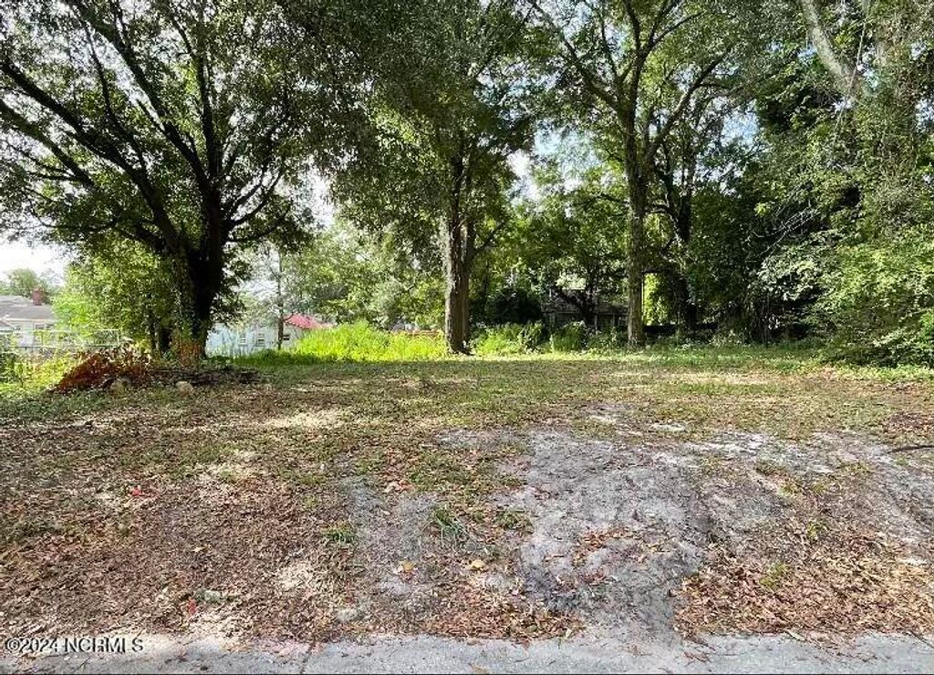 Photo of 1014 Queen Street, Wilmington, NC 28401 (MLS # 100463310)