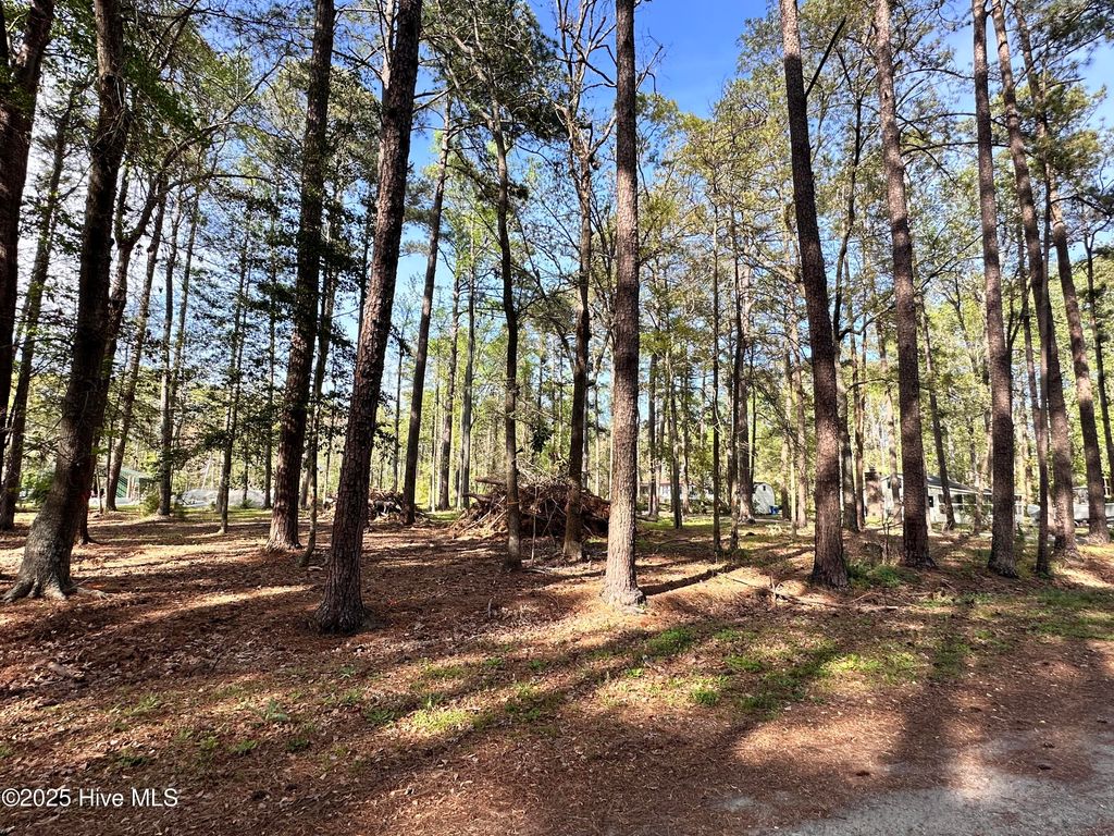 Photo of Lot Oakwood Lane, Aurora, NC 27806 (MLS # 100507449)