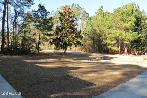 A home in Havelock