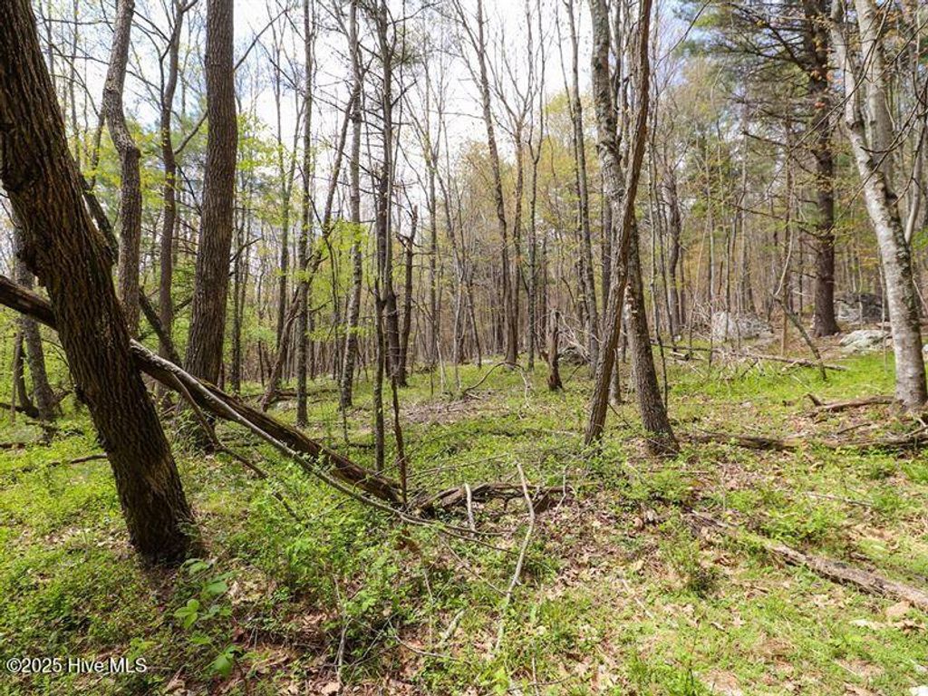Photo of 19 Potecasi Creek Road Road, Ahoskie, NC 27910 (MLS # 100499524)
