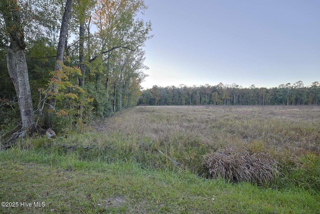 Photo of 1062 Creek Road, Whiteville, NC 28472 (MLS # 100543373)