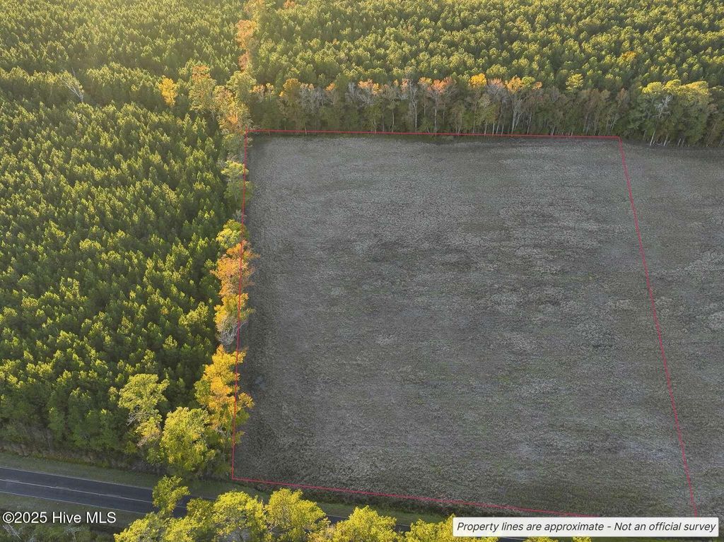 Photo of 1062 Creek Road, Whiteville, NC 28472 (MLS # 100543373)