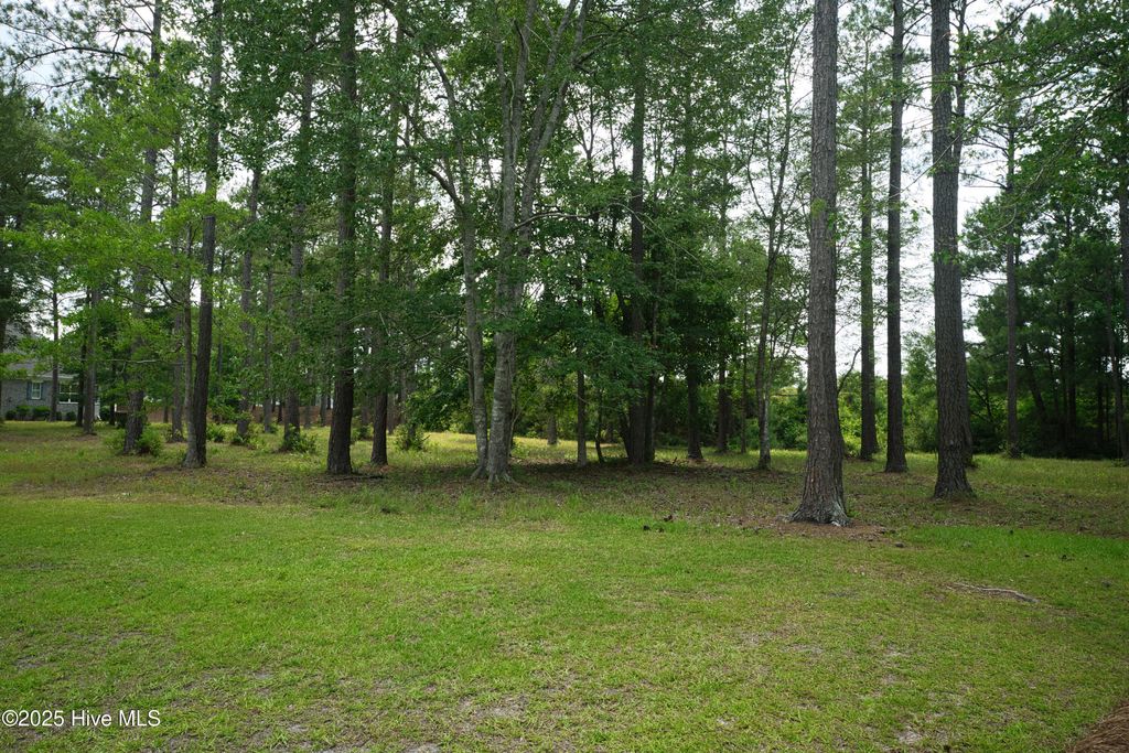 Photo of 741 Highgate Place SW, Ocean Isle Beach, NC 28469 (MLS # 100511920)