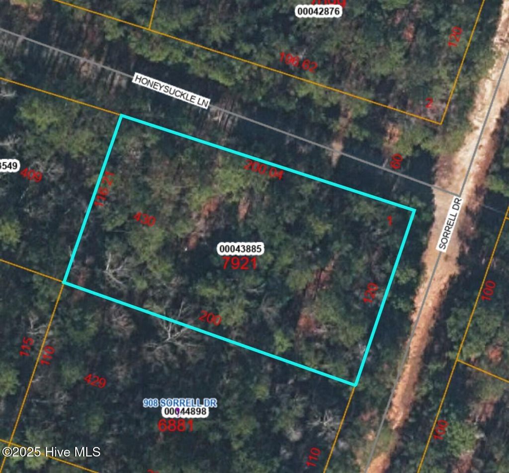 Photo of 900 Sorrell Drive, Vass, NC 28394 (MLS # 100495734)