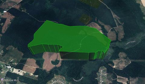 Tiny photo for 0 Francktown Road, Richlands, NC 28574 (MLS # 100538697)