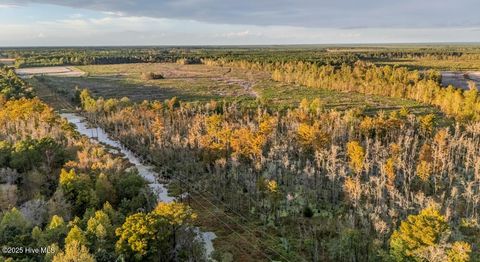 Tiny photo for 0 Francktown Road, Richlands, NC 28574 (MLS # 100538697)