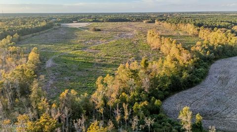 Photo of 0 Francktown Road, Richlands, NC 28574 (MLS # 100538697)