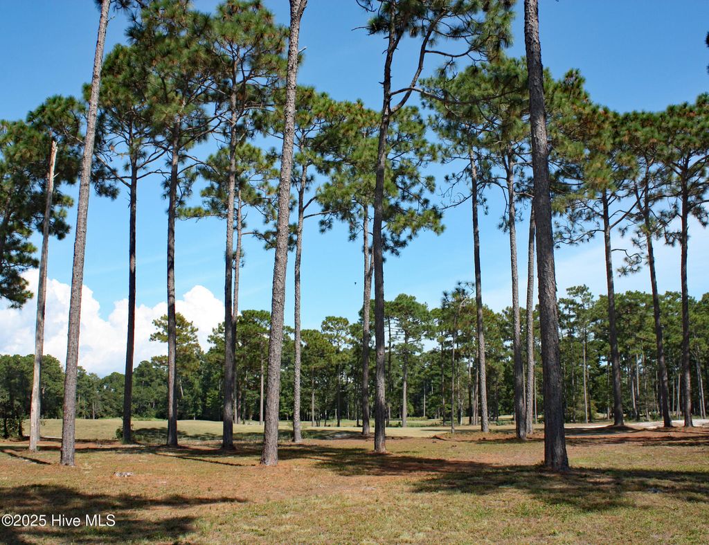 Photo of 586 Barrington Place SW, Ocean Isle Beach, NC 28469 (MLS # 100532452)
