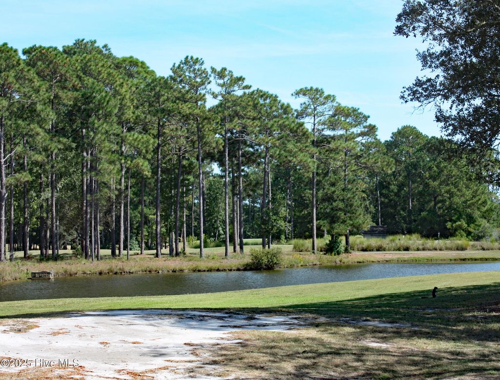 Photo of 586 Barrington Place SW, Ocean Isle Beach, NC 28469 (MLS # 100532452)