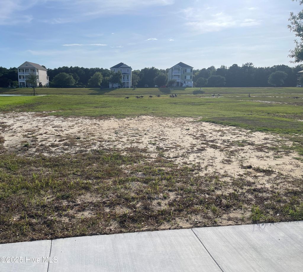 Photo of 839 Cannonsgate Drive, Newport, NC 28570 (MLS # 100521585)
