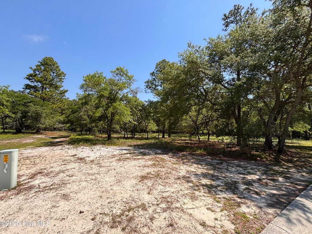 Photo of 586 Maritime Way SW, Supply, NC 28462 (MLS # 100506780)
