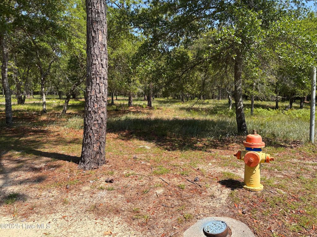 Photo of 586 Maritime Way SW, Supply, NC 28462 (MLS # 100506780)