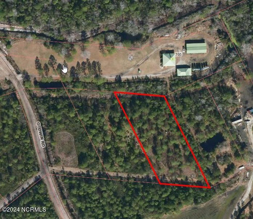 Photo of 1300 Godwin Road, Maple Hill, NC 28454 (MLS # 100434244)