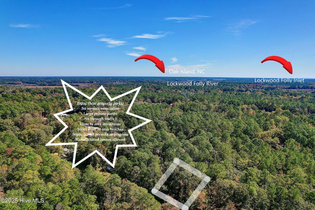 Photo of 687 Eastwind Drive SW, Supply, NC 28462 (MLS # 100541604)