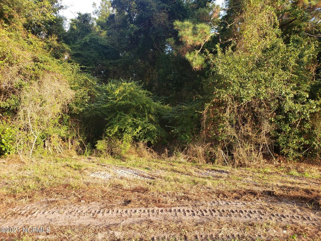 Photo of 17 Us-17, Hampstead, NC 28443 (MLS # 100476928)