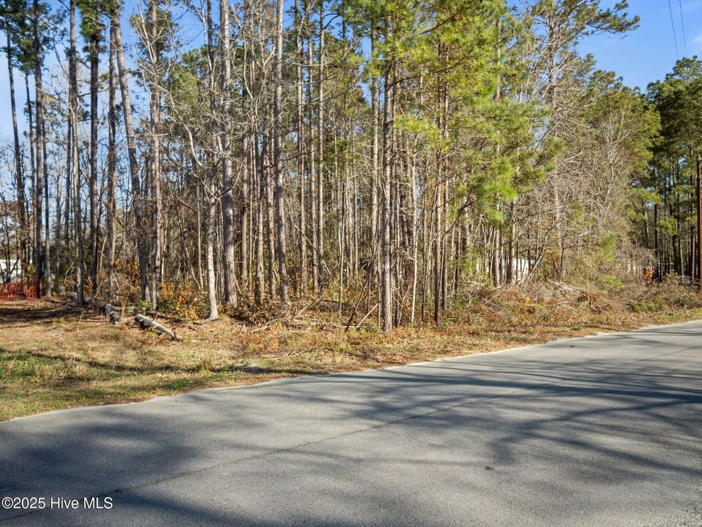 Photo of 400 Stoneybrook Drive, Swansboro, NC 28584 (MLS # 100497609)