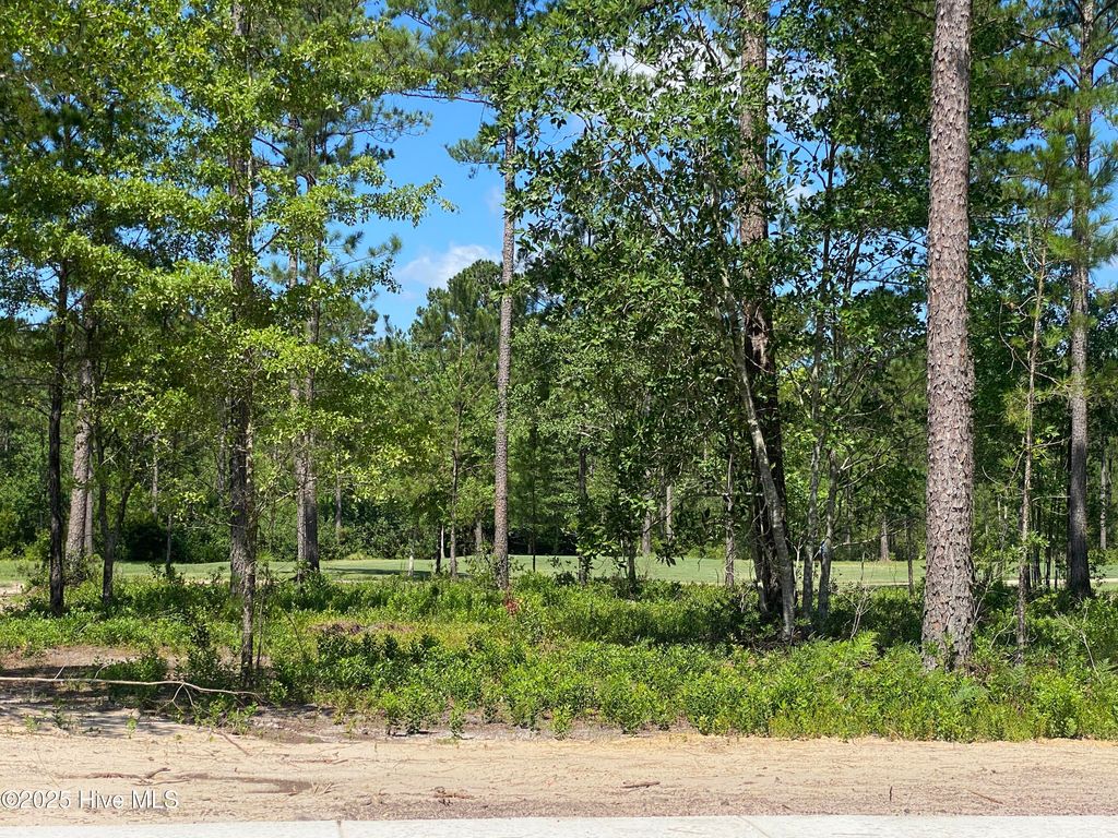 Photo of 8755 Compass Pointe West Wynd NE, Leland, NC 28451 (MLS # 100514363)