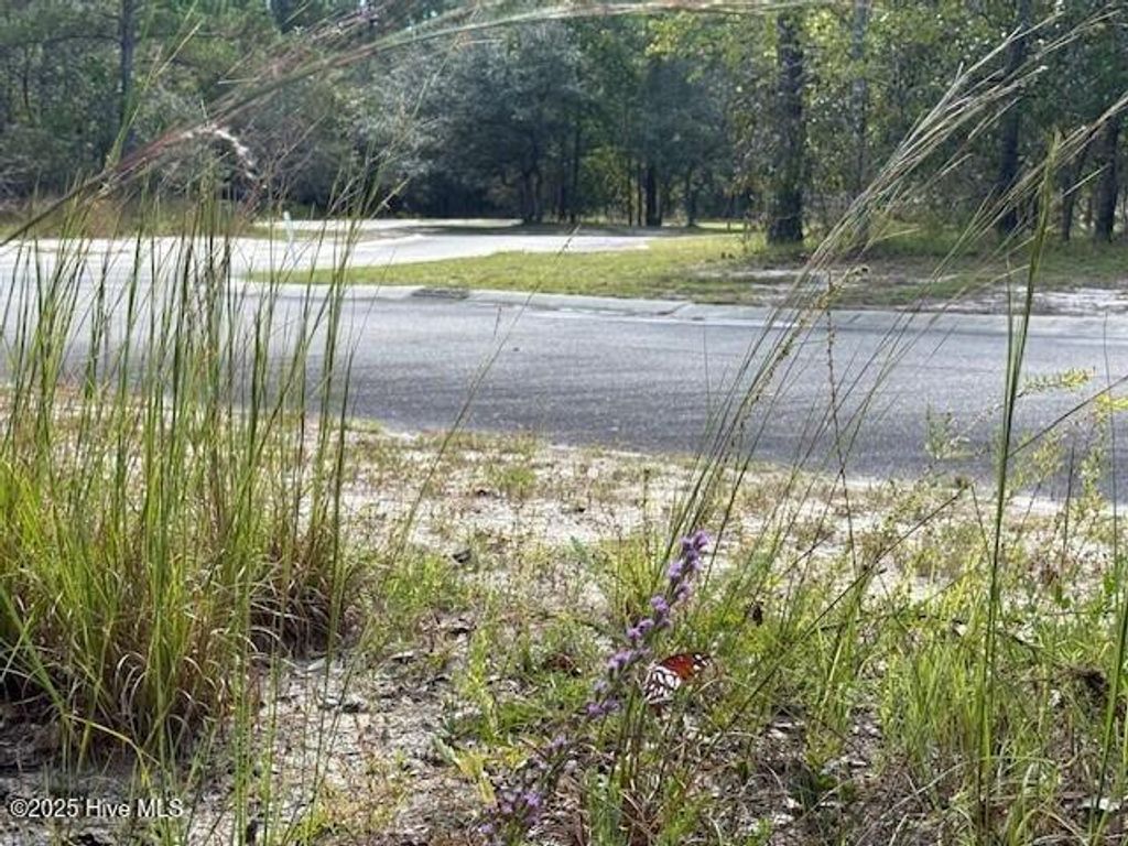 Photo of 3026 Hartley Drive SE, Bolivia, NC 28422 (MLS # 100534423)